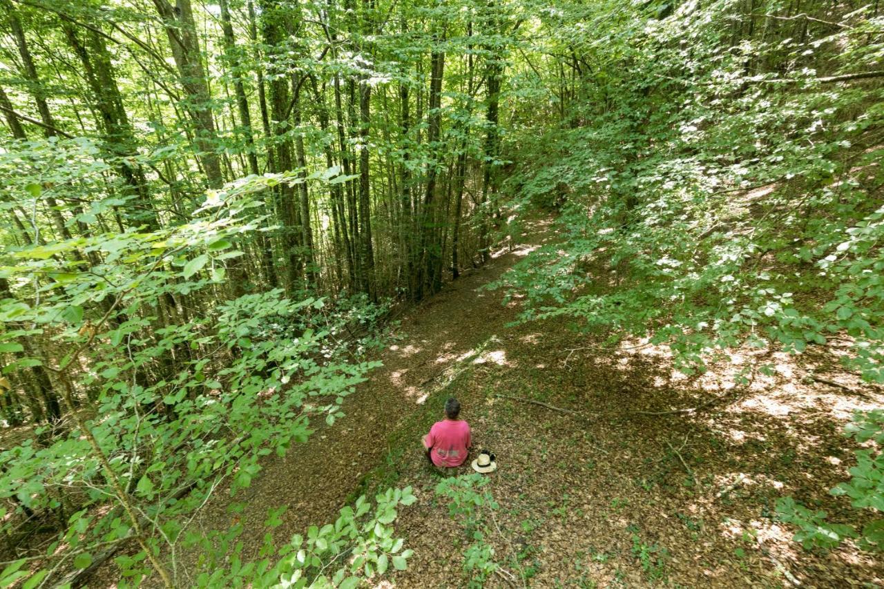 Хостел Mas Rural El Negre Угаса Екстер'єр фото