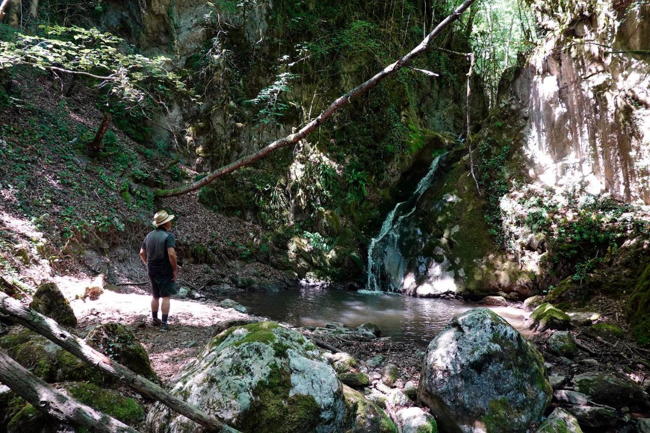 Хостел Mas Rural El Negre Угаса Екстер'єр фото